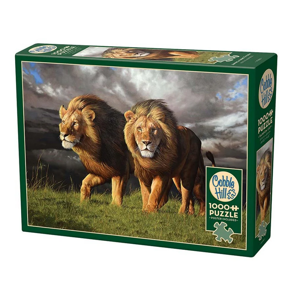 Approaching Storm 1000 Piece Puzzle