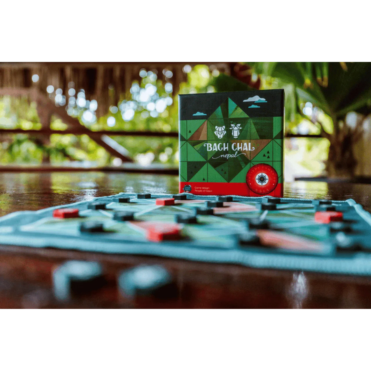 Bagh Chal - 2 Players - Image 3