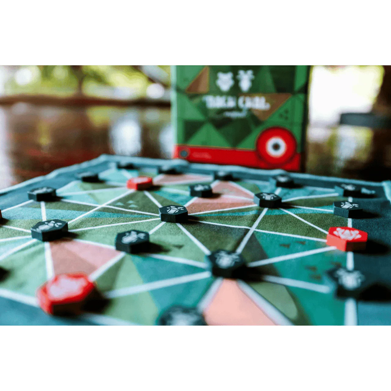 Bagh Chal - 2 Players - Image 4