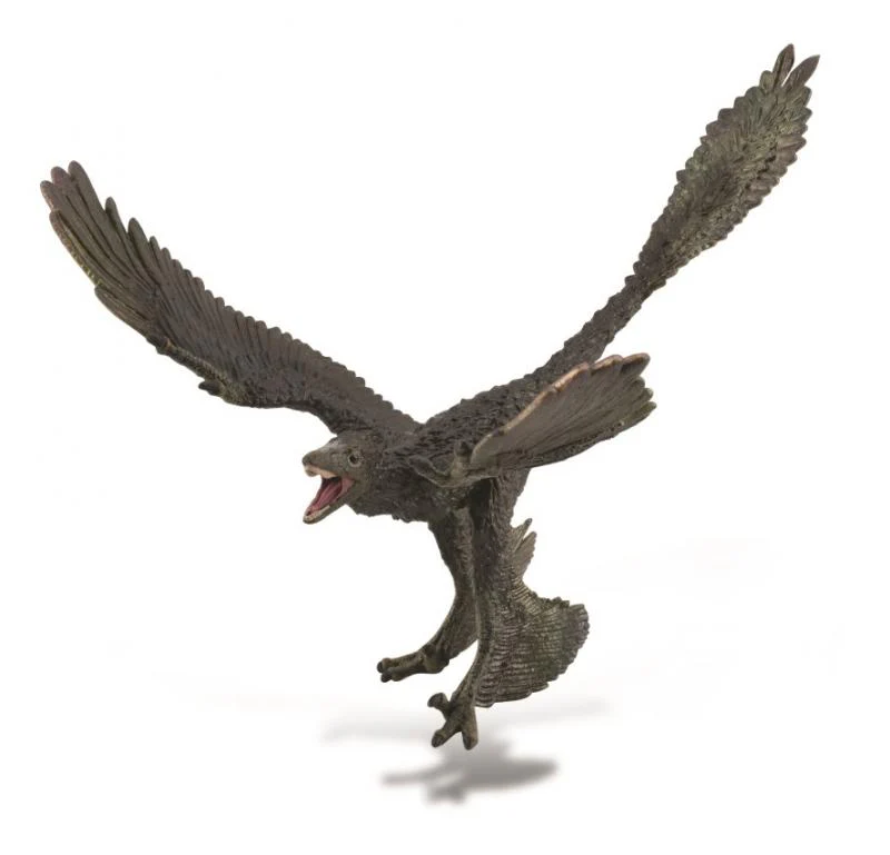 Collecta Microraptor - XL