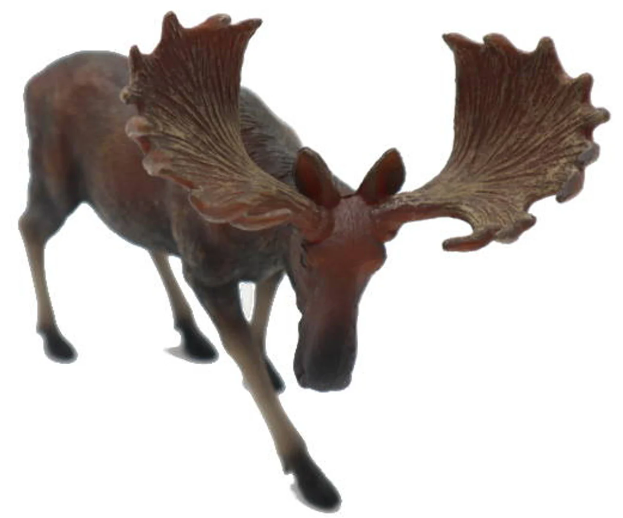 Collecta Moose - L - Image 2