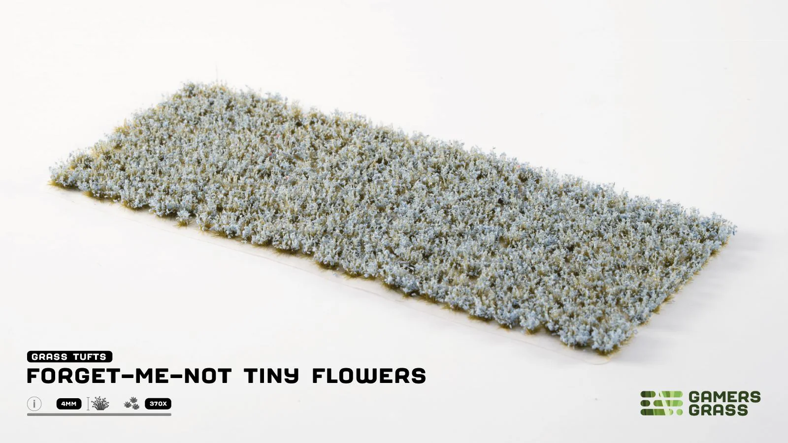 Gamers Grass - Grass Tufts - Flowers - Forget-me-not Tiny - 263756