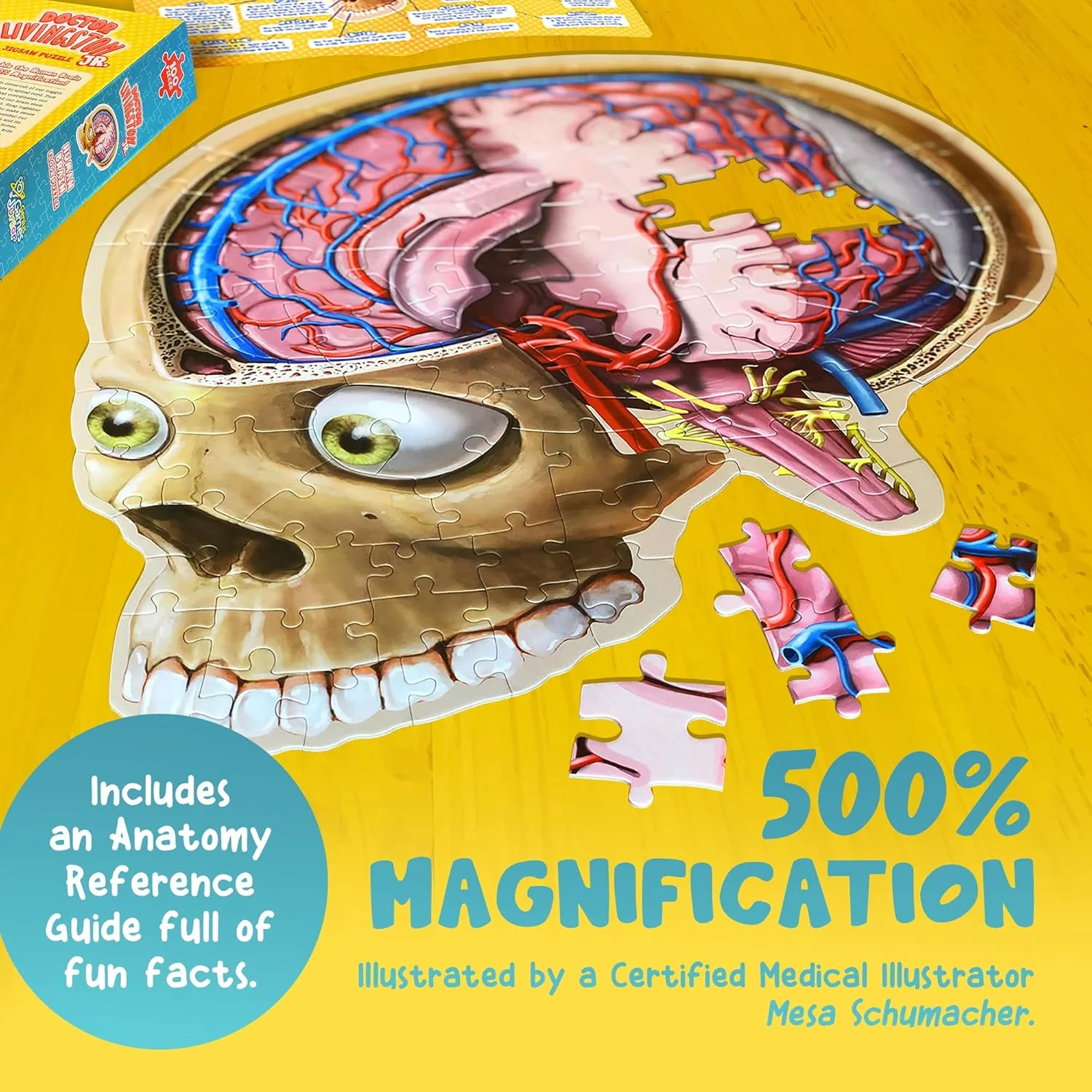Genius Games Dr. Livingston Jr. Human Brain Floor Puzzle - 100 Piece Jigsaw - Image 4