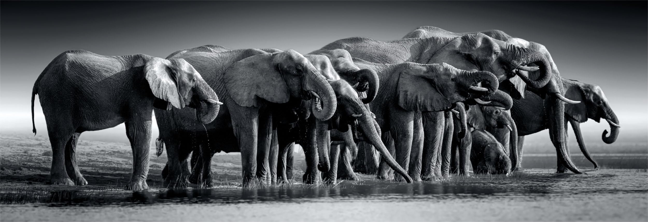 Herd Of Giants 1000 Piece Jigsaw High-quality - Image 4