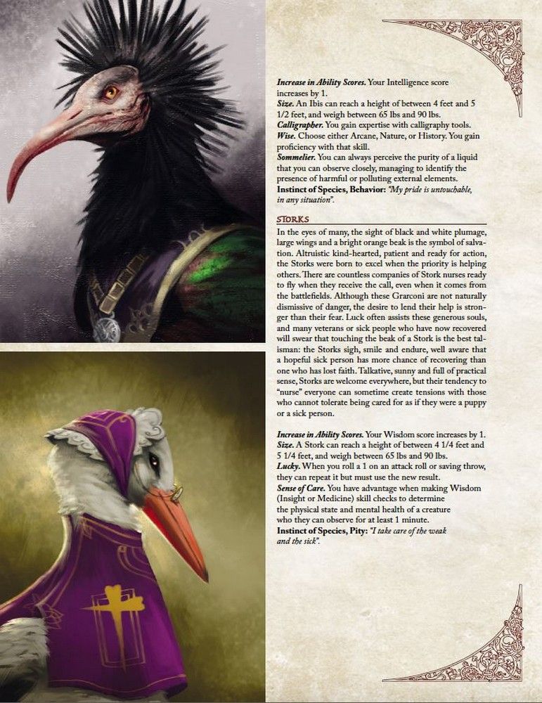 Historia - Corebook - Preorder - Image 5