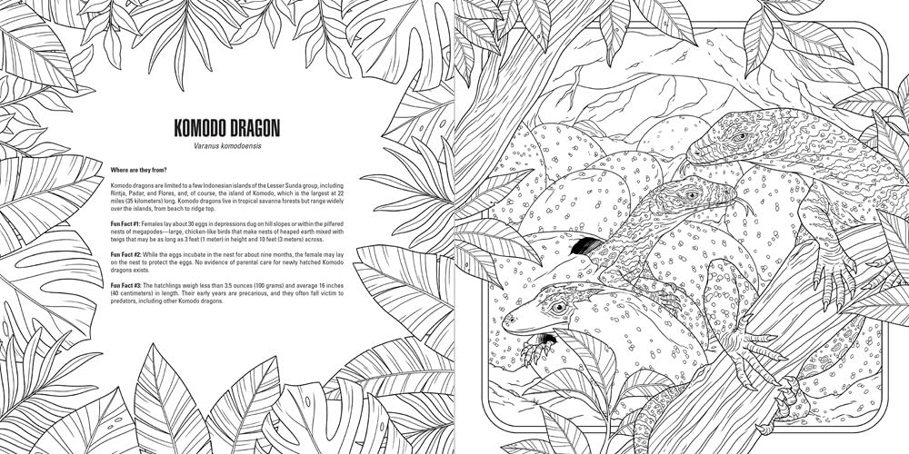 IDW Publishing Baby Animals A Smithsonian Colouring Book - Image 7