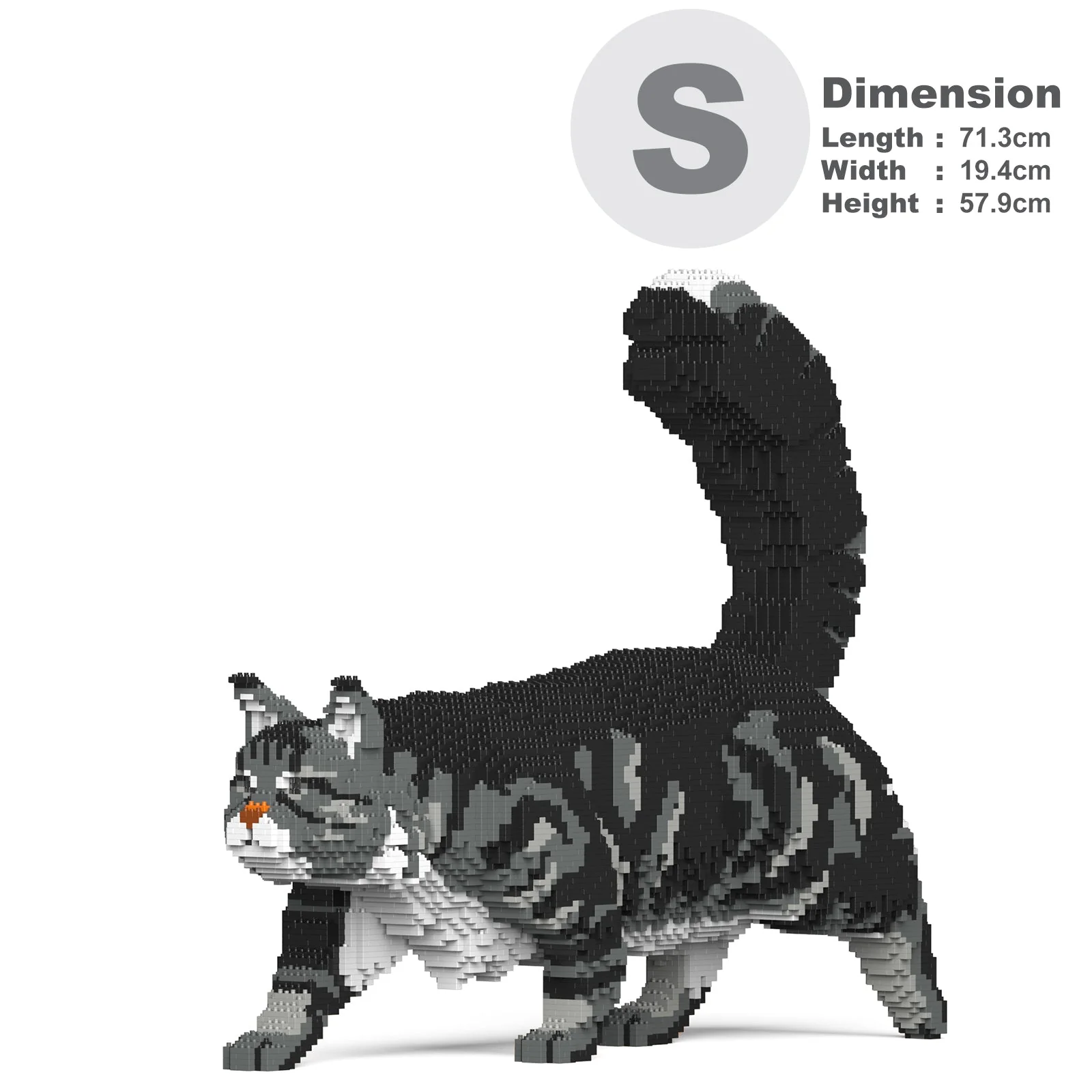 Maine Coon 02S-M03 - Image 3