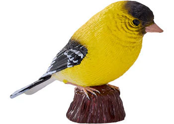 Mojo - American Goldlfinch - Image 2