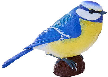 Mojo - Blue Tit - Image 2
