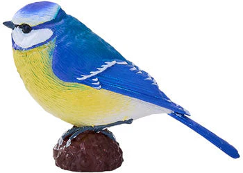 Mojo - Blue Tit - Image 5