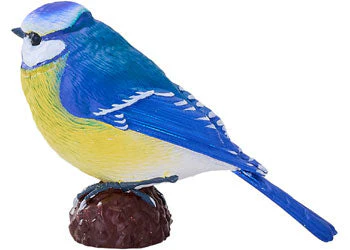 Mojo - Blue Tit - Image 6