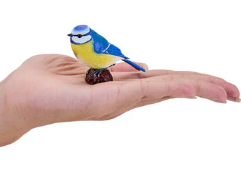 Mojo - Blue Tit - Image 7