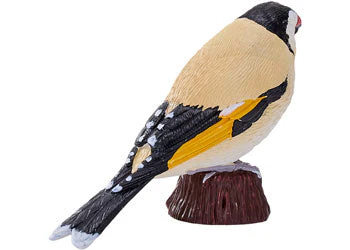 Mojo - European Goldfinch - Image 5