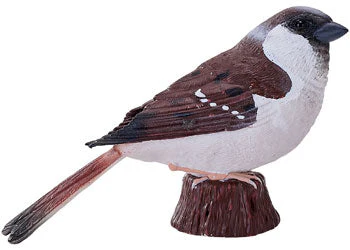 Mojo - House Sparrow - Image 4