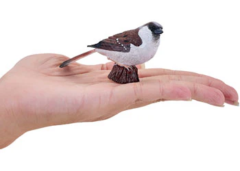 Mojo - House Sparrow - Image 7