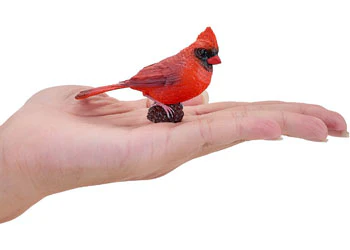 Mojo - Red Cardinal - Image 6