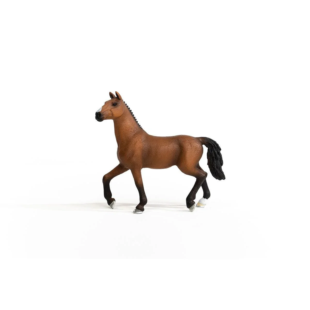 Oldenburger Mare