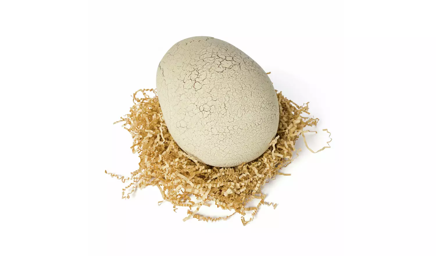 Primal Hatch Jurassic Interactive Hatching Dinosaur - Image 4