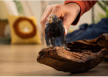 Schleich - Chimpanzee - Image 2