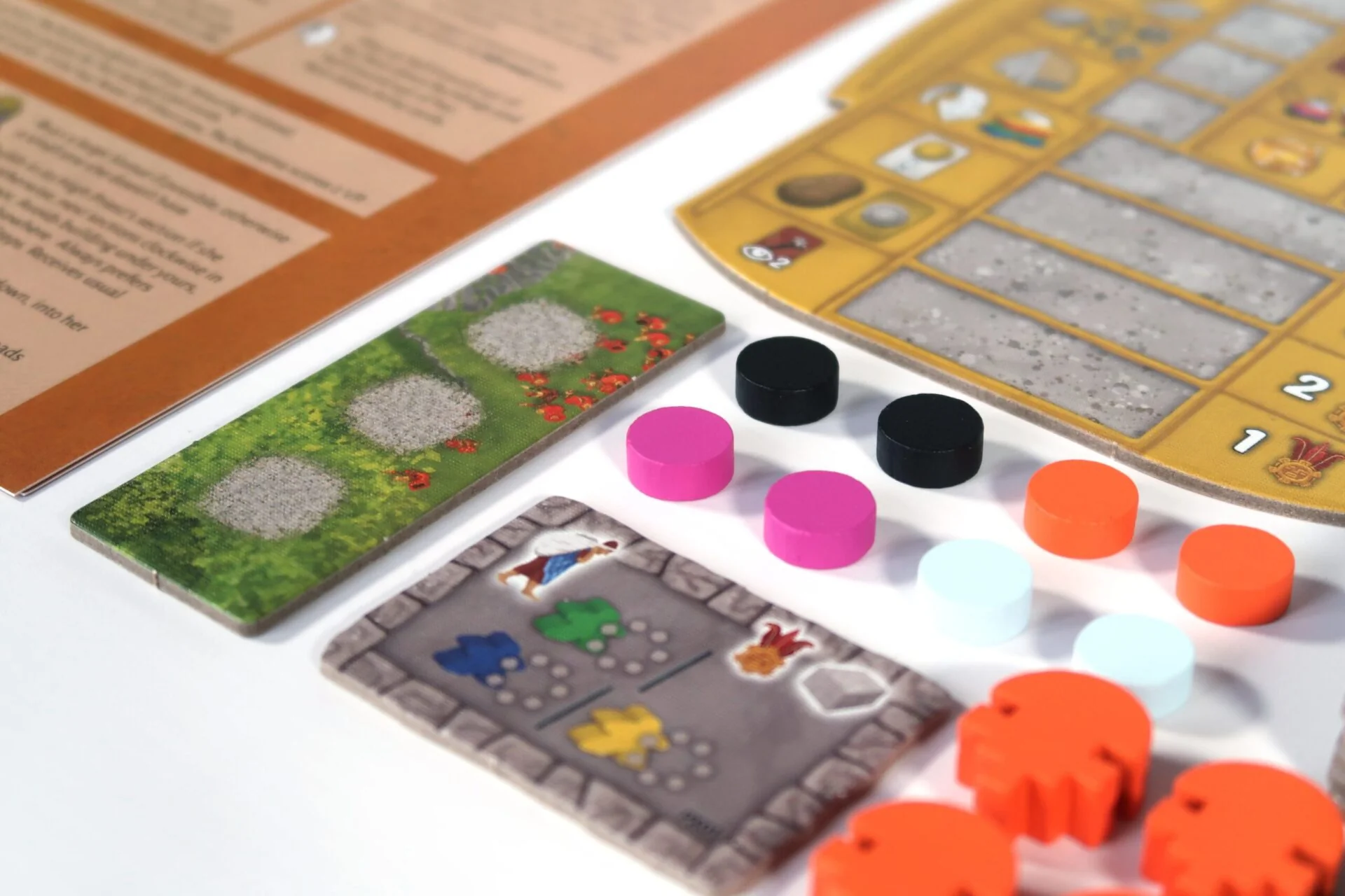 Tawantinsuyu: The Golden Age - 1-4 Players - Image 11