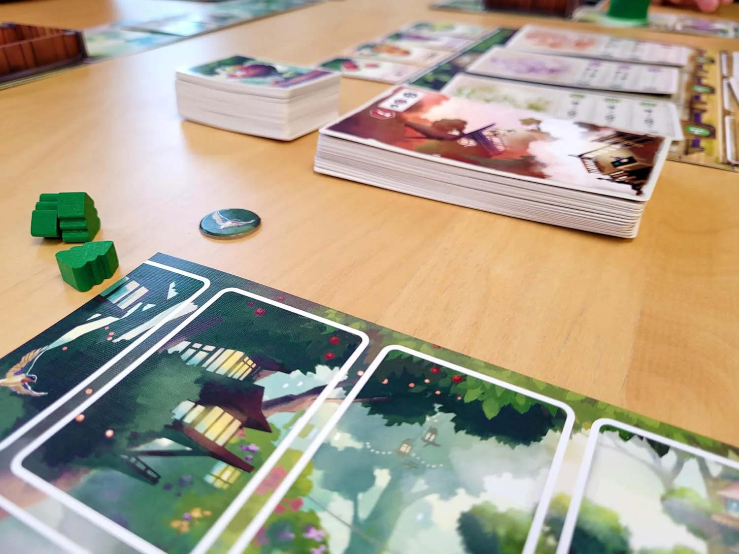Tree Society - 2-4 Players - Image 7